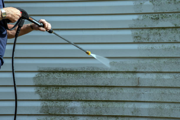 Best Dumpster Area Cleaning  in Elkins, WV