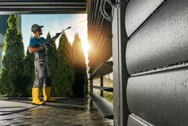 Best Graffiti Removal  in Elkins, WV