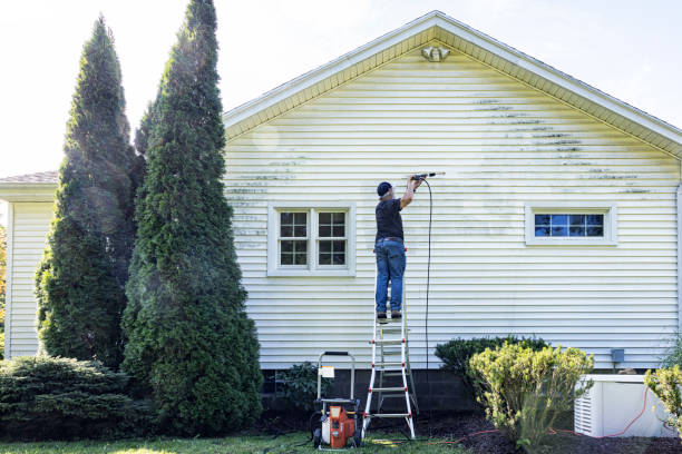 Best Solar Panel Cleaning  in Elkins, WV