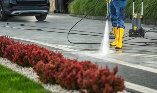 Best Roof Washing  in Elkins, WV